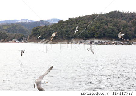 海之京都、伊根町、船屋集團 114117788