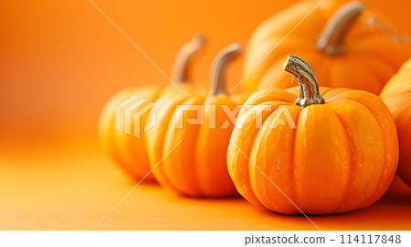 Row of pumpkins on orange backdrop, staple and natural foods 114117848