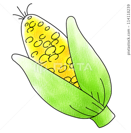 Loose and simple corn analog style 114118239