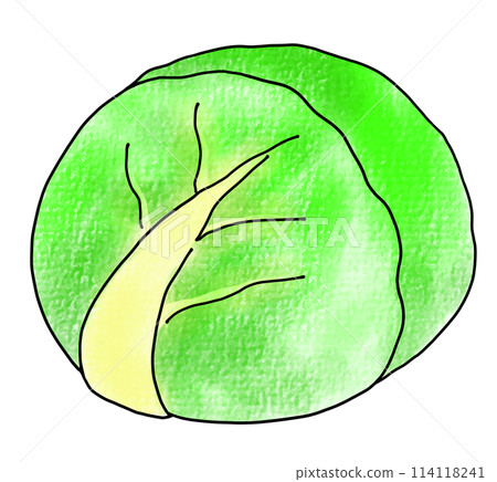 Loose and simple cabbage analog style Loose and simple cabbage analog style 114118241