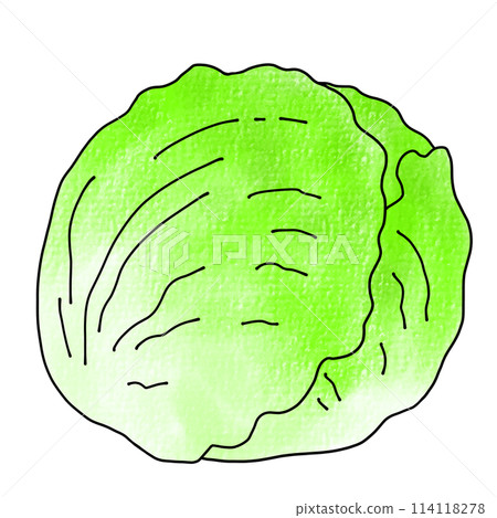 Loose and simple lettuce analog style Loose and simple lettuce analog style 114118278