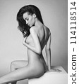 Fashion portrait of elegant woman with perfect body. 114118514