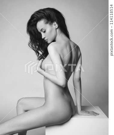 Fashion portrait of elegant woman with perfect body. 114118514