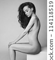 Fashion portrait of elegant woman with perfect body. 114118519