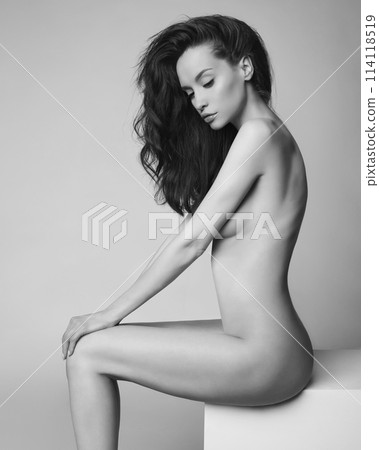 Fashion portrait of elegant woman with perfect body. 114118519