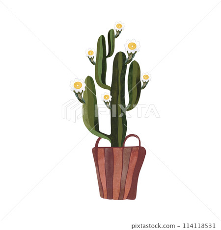 Cactus in a wicker basket. Plants for the home. Floriculture. Interior decoration. Isolated watercolor illustration on white background. Clipart. Cactus in a wicker basket. Plants for the home. Floriculture. Interior decoration. Isolated watercolor illustration on white background. Clipart. 114118531