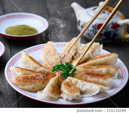 Fried dumplings (black background) 114119294