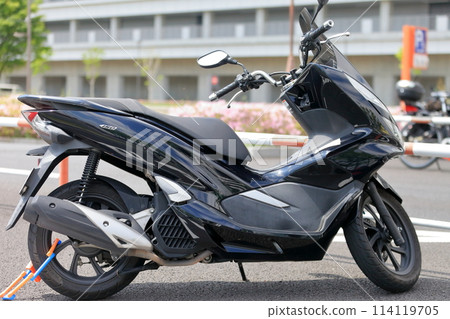 Domestic scooter 114119705