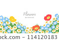 Background of a flower field - poppies, daisies, nemophila 114120183