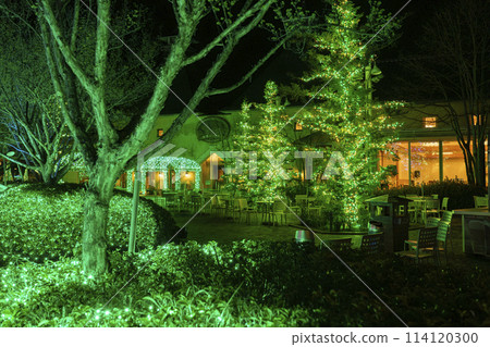 Nabana no Sato Illumination: Forest of Light Nabana no Sato Illumination: Forest of Light 114120300