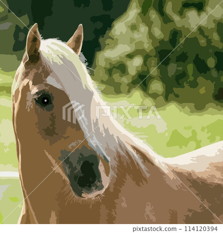 horse, animal, equine 114120394