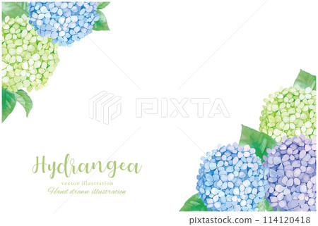 背景與水彩手繪繡球花 114120418