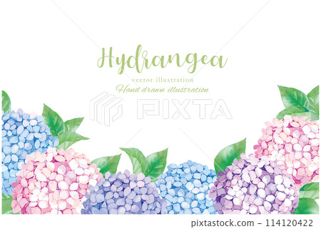 Watercolor-style frame illustration with hand-drawn hydrangea Watercolor-style frame illustration with hand-drawn hydrangea 114120422