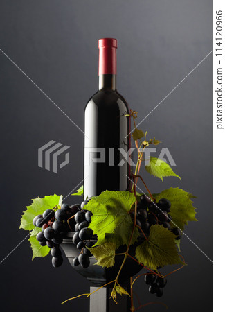 Red wine with blue grapes and vine branches. Red wine with blue grapes and vine branches. 114120966