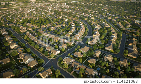 Suburban Monotony: Aerial Perspective. Generative AI 114121068