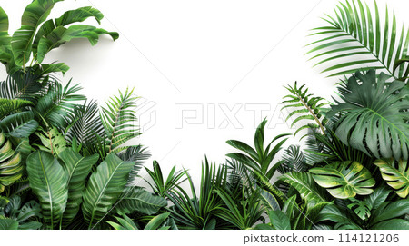 Tropical leaves foliage plant bush floral arrangement nature backdrop on white background. 114121206
