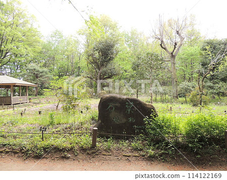 天平之丘公園 萬葉植物園 114122169