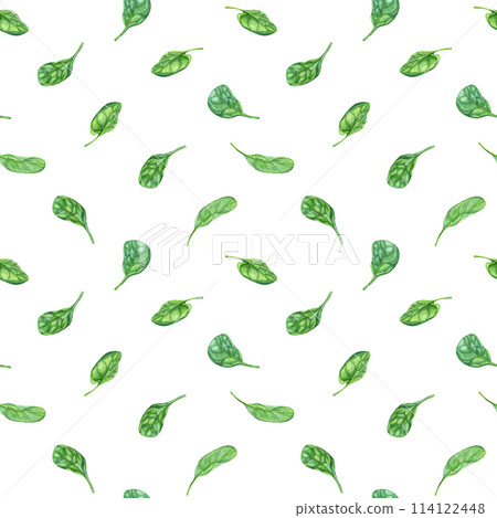 Watercolor seamless pattern with leafy green flowering plant spinach. Hand drawn illustration for wrapping wallpaper fabric textile Watercolor seamless pattern with leafy green flowering plant spinach. Hand drawn illustration for wrapping wallpaper fabric textile 114122448
