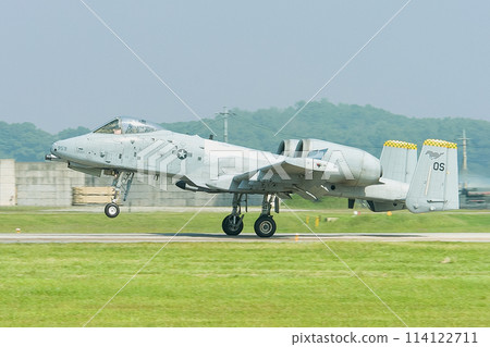 美國空軍 A-10A Thunderbolt II 著陸 114122711
