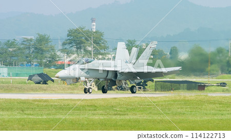 美國海軍 F/A-18C 大黃蜂著陸 114122713