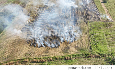 Climate change, Agriculture burning release carbon dioxide (CO2) emissions and other greenhouse gases (GHG) that contribute to climate change. 114122883