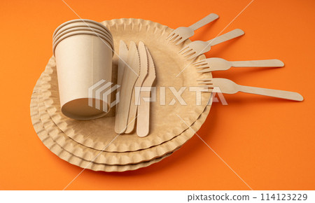 Paper Plate, Fork, Knife, Eco Tableware, Disposable Cutlery, Biodegradable, Eco Bio Table Setting for Picnic Paper Plate, Fork, Knife, Eco Tableware, Disposable Cutlery, Biodegradable, Eco Bio Table Setting for Picnic 114123229