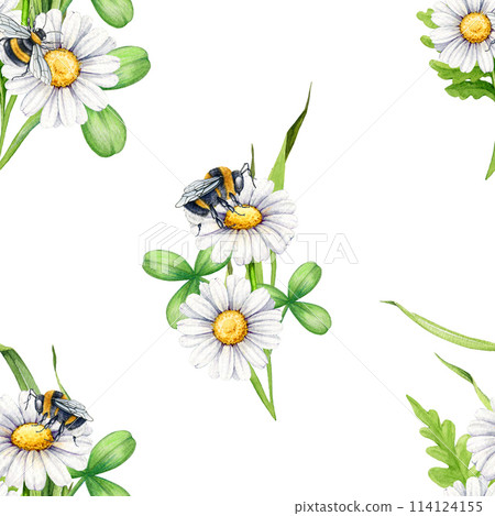 Bee on a daisy flower seamless pattern decor. Watercolor illustration. Meadow summer flowers and bumblebee floral decoration. Bee on a white daisy flower with green leaf seamless pattern 114124155