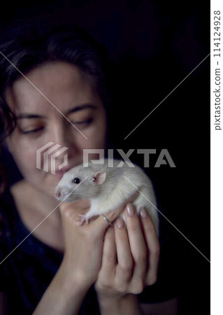 a husky dumbo rat cuddles with its owner 114124928