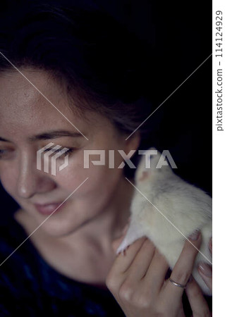 a husky dumbo rat cuddles with its owner 114124929