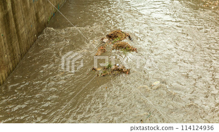 Dirty flow of city storm drain Dirty flow of city storm drain 114124936