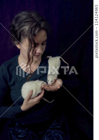 an  albino  standard rat and albino standard rat cuddles with theie owner 114124965