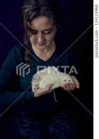 an  albino  standard rat and albino standard rat cuddles with theie owner 114124966