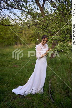 beautiful woman in white vintage dress with train in spring garden at sunset 114125177