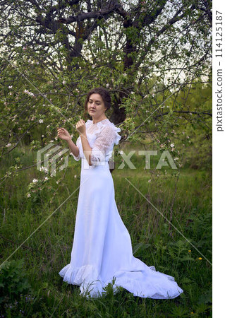 beautiful woman in white vintage dress with train in spring garden at sunset 114125187