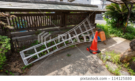 Pruning the plants in the garden Pruning the plants in the garden 114125880