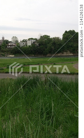 Scenery around the Hirose River riverbed 114126138