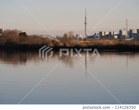 A view of Tokyo Skytree from the Arakawa River bank in Kawaguchi City 114126350