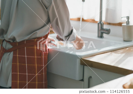 Washing Dishes, homemaker, female 114126555