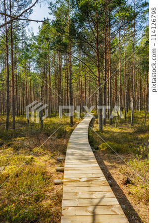 Viru Bog Viru Raba peat swamp, Estonia Viru Bog Viru Raba peat swamp, Estonia 114126798
