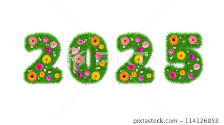 3D rendering green year 2025 made out of grass flowers 114126858