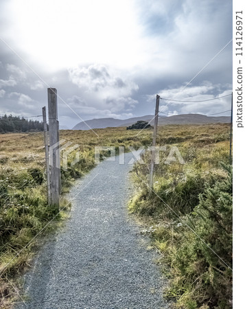 The deer fence at Glenveagh National Park in County Donegal, Ireland The deer fence at Glenveagh National Park in County Donegal, Ireland 114126971