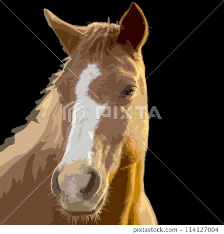 Portrait of a horse on a black background. Vector illustration. 114127004