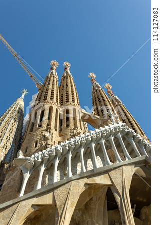 La Sagrada Familia Catalan Cathedral. Vertical view on the biggest cathedral in the world made by famous architecturer Antonio Gaudi 114127083
