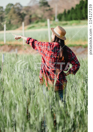 Farmer wearing a straw hat and red plaid shirt points out into the distance, monitoring the progress of crops in a green field. 114127139