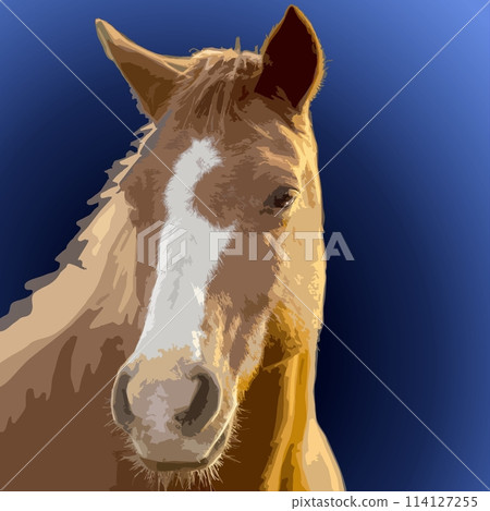 Portrait of a horse. Vector illustration on a blue background. Portrait of a horse. Vector illustration on a blue background. 114127255
