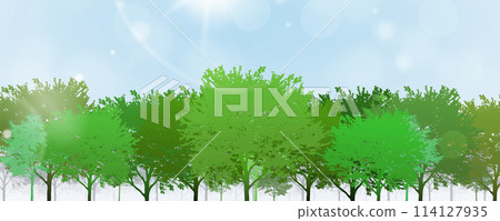 colors of spring trees 114127935