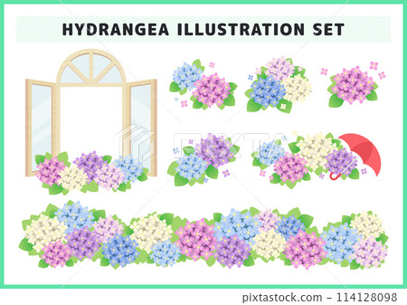 Illustration set of hydrangeas that color the rainy season Rainy season June seasonal decorations and frames Calendar material 114128098