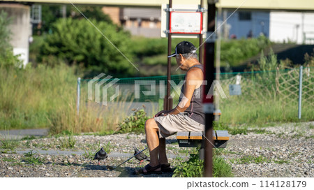 Seniors feeding pigeons Seniors feeding pigeons 114128179