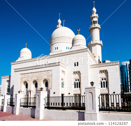 white mosque 114128287