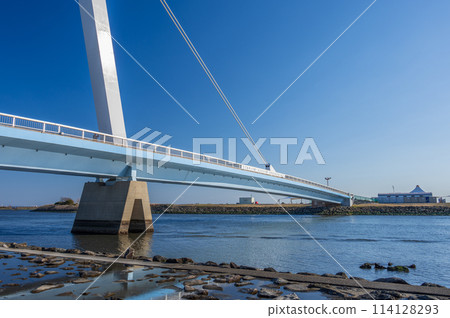 Kasai Rinkai Park Kasai Nagisabashi Bridge 114128293